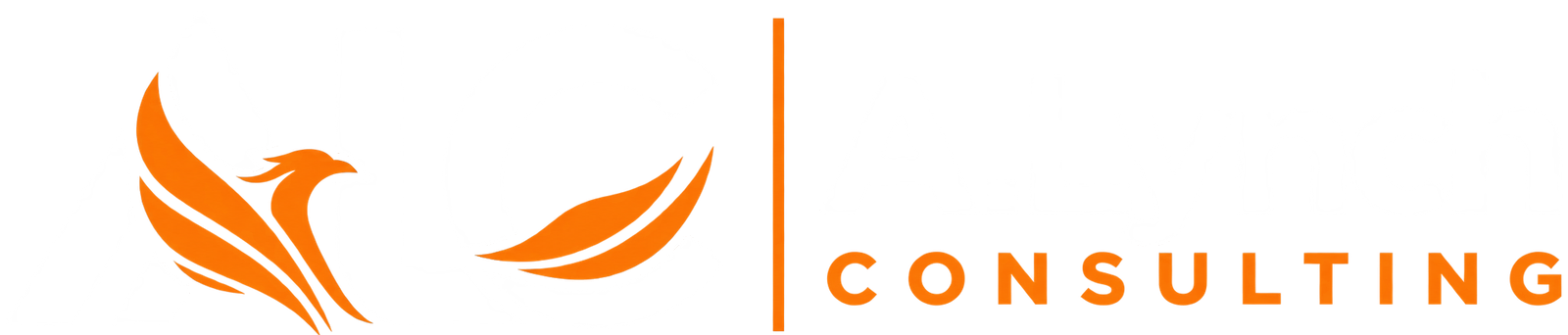 A.Lynch Consulting